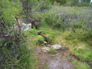Studenec in čira čara